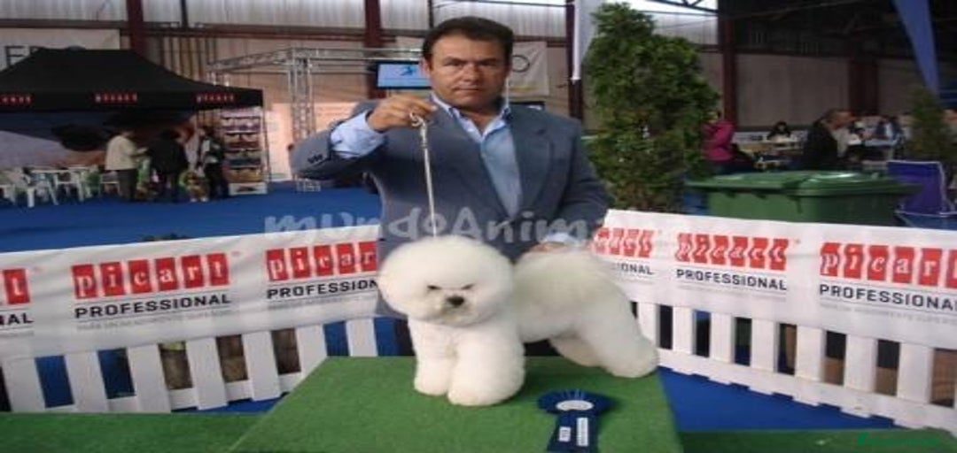 Imagen de galería {{count}}