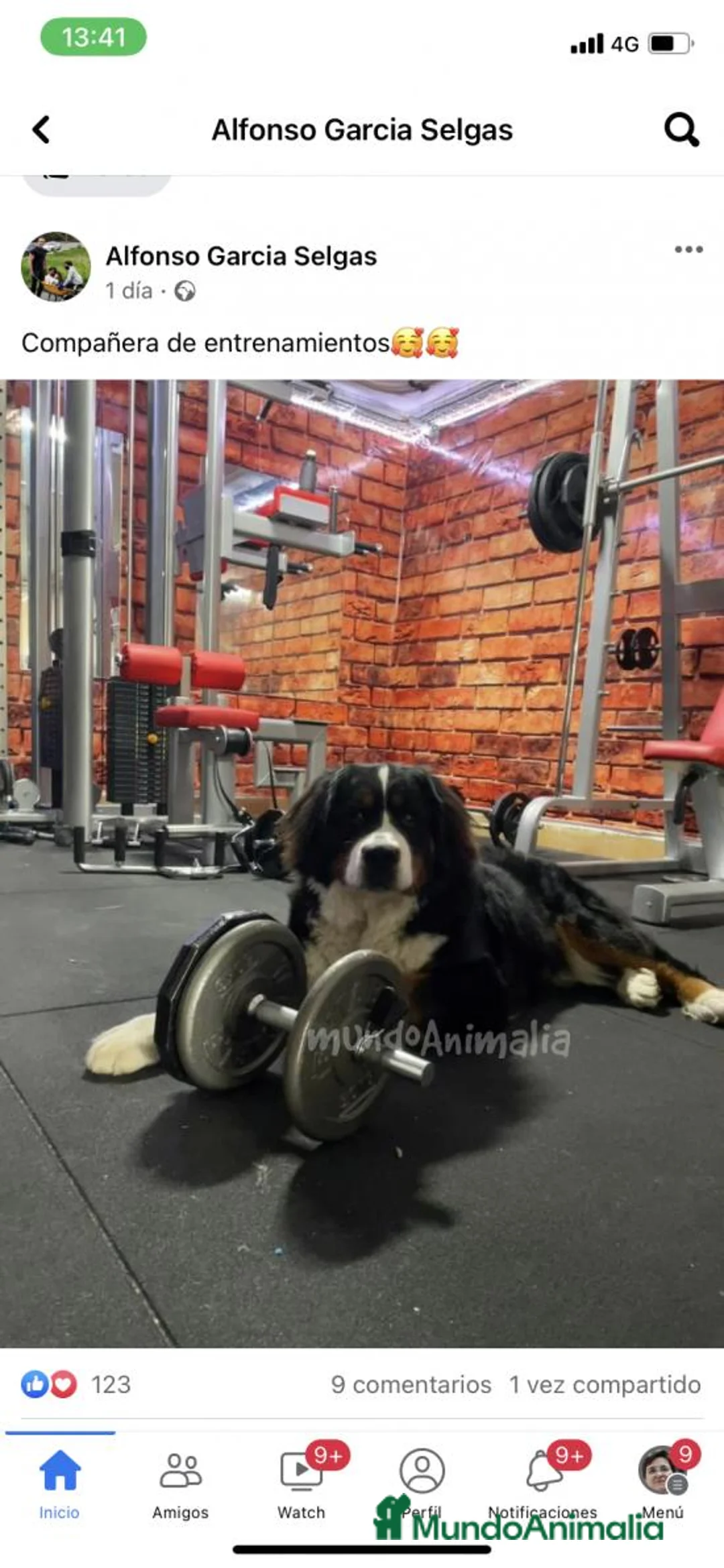 Imagen de galería {{count}}