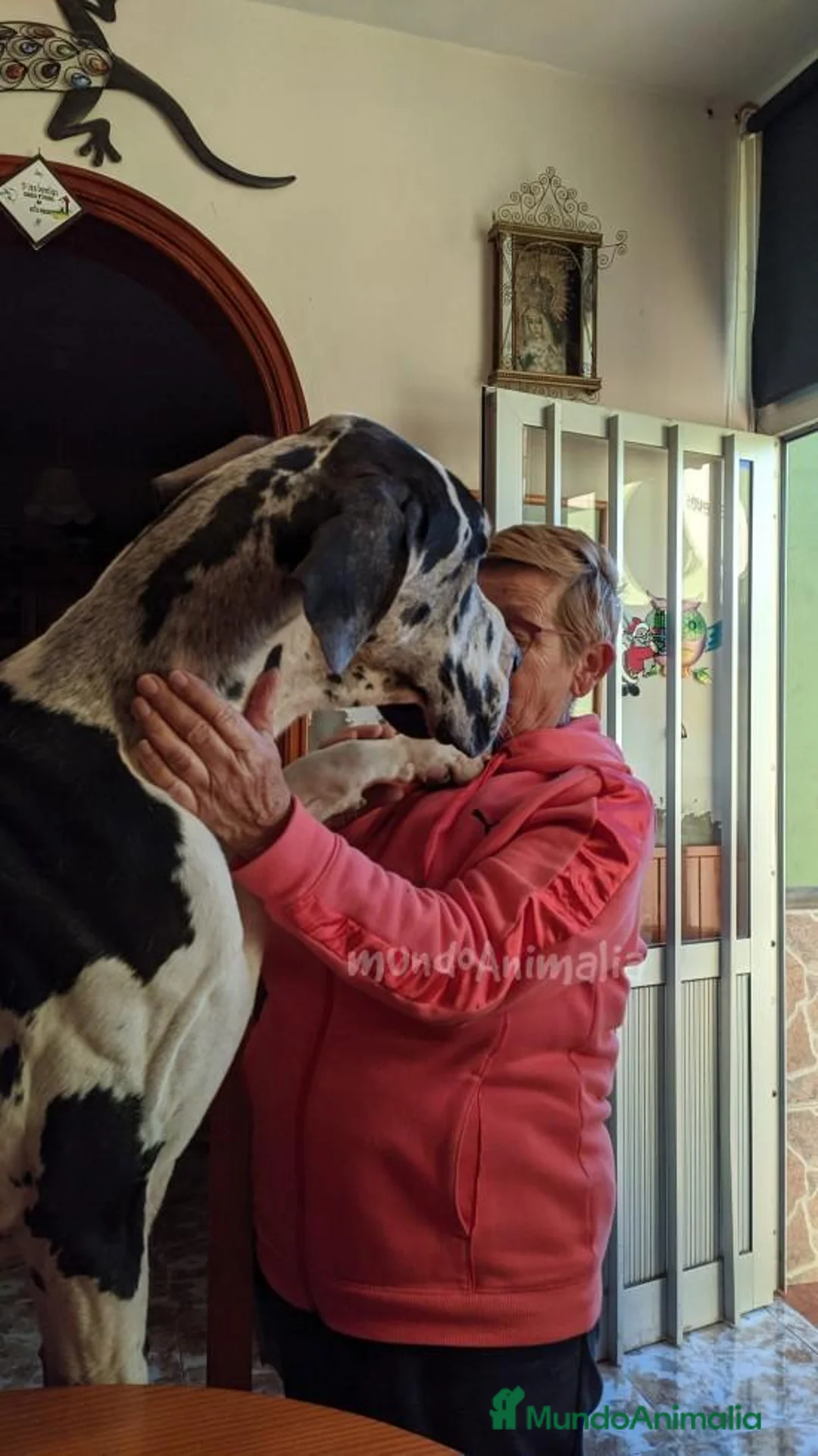 Imagen de galería {{count}}