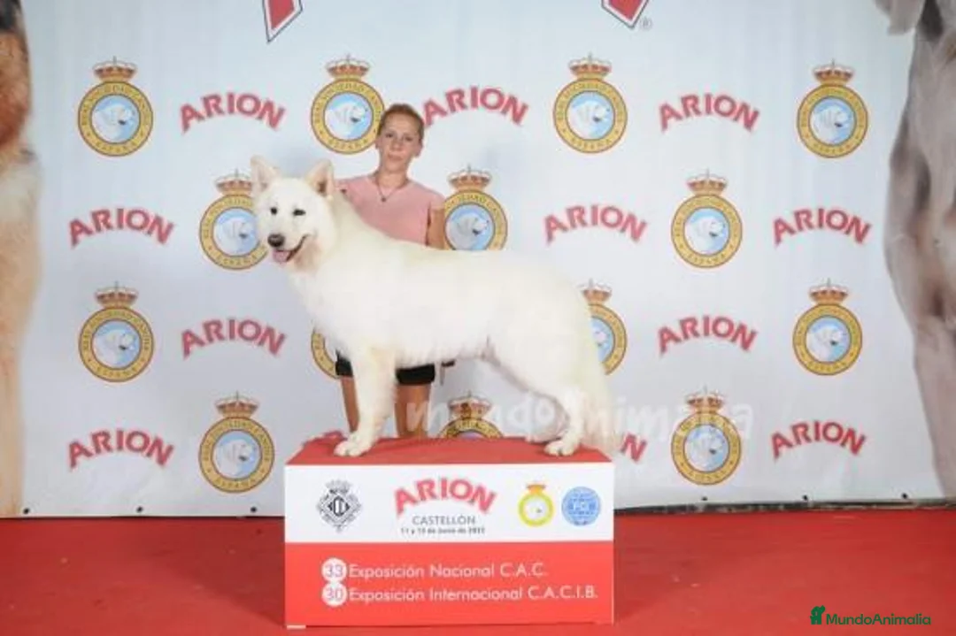 Imagen de galería {{count}}