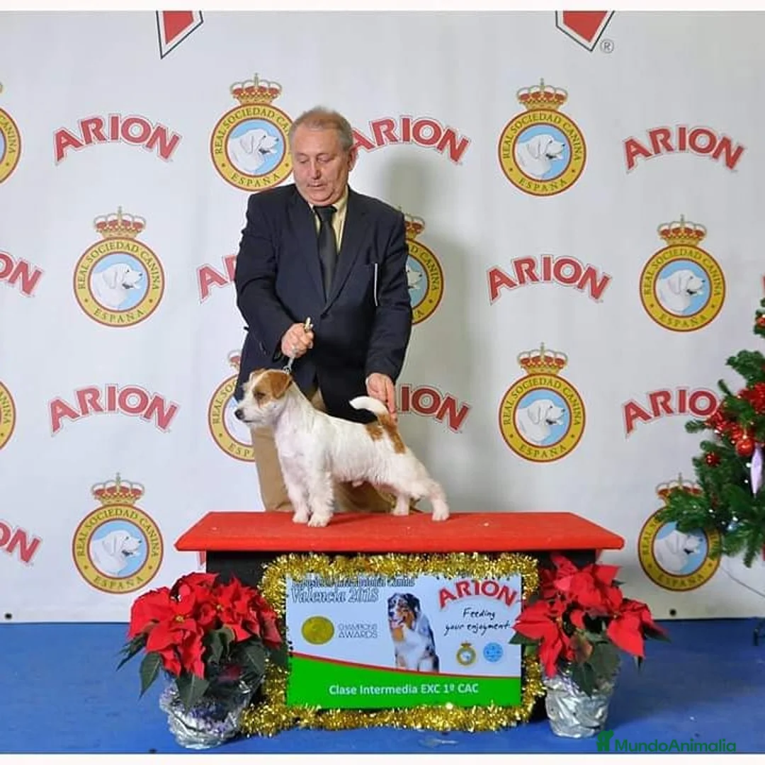 Imagen de galería {{count}}