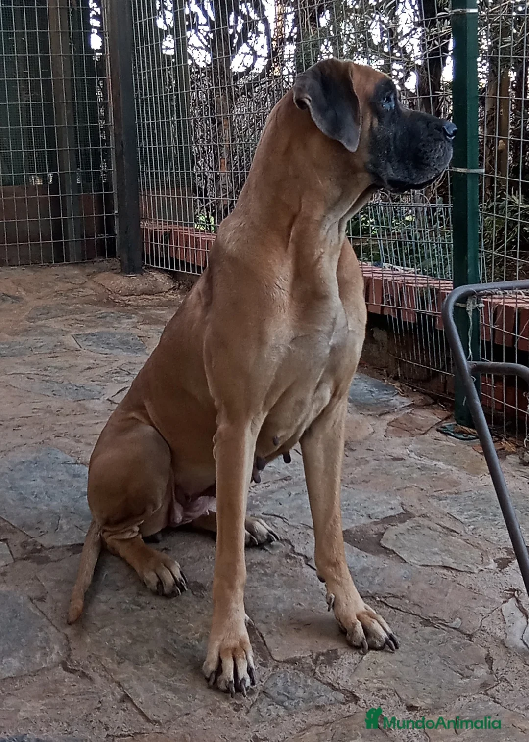 Imagen de galería {{count}}