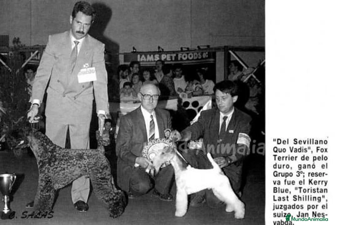 Imagen de galería {{count}}