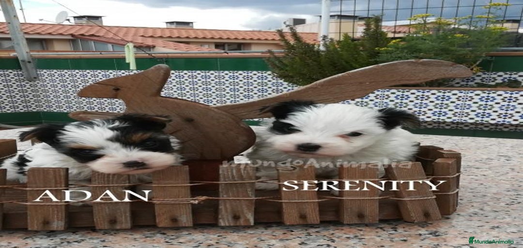 Imagen de galería {{count}}