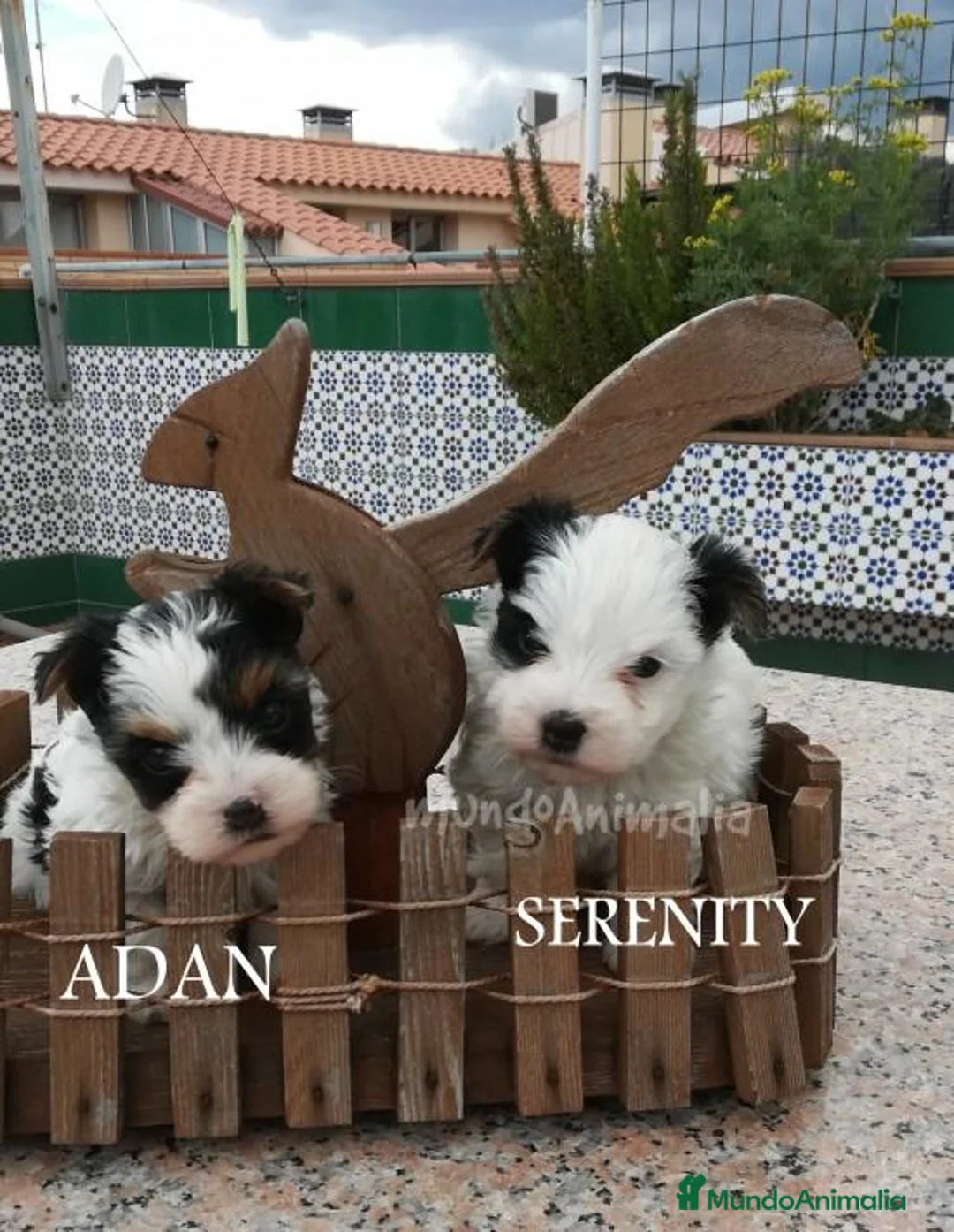 Imagen de galería {{count}}