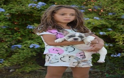 Bulldog Francés perros en venta: Bulldog francés exótico distintos colores - Imagen 6