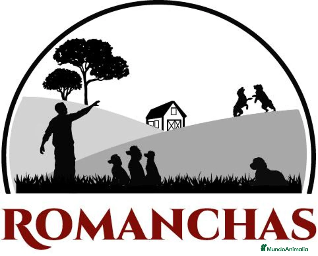 Imagen de galería {{count}}