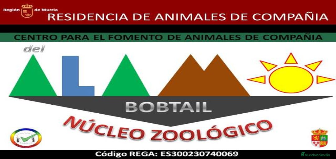 Imagen de galería {{count}}