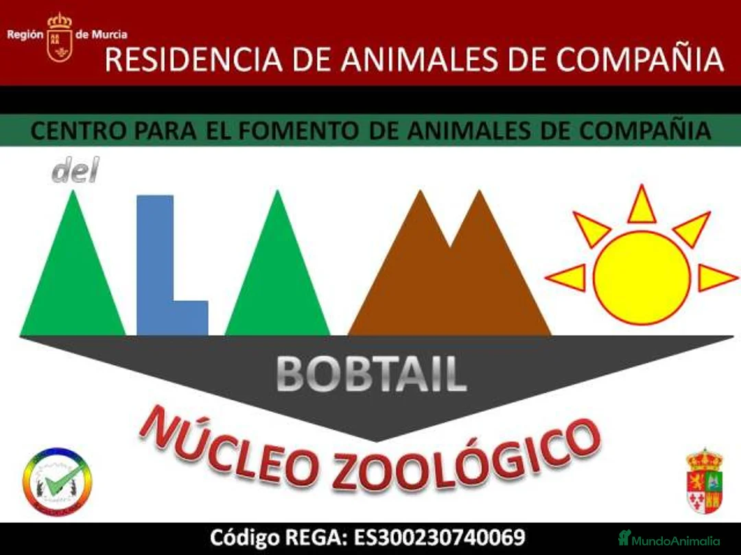 Imagen de galería {{count}}