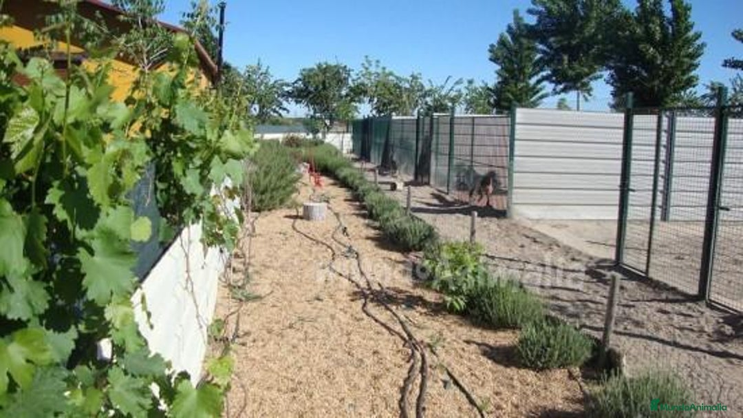 Imagen de galería {{count}}