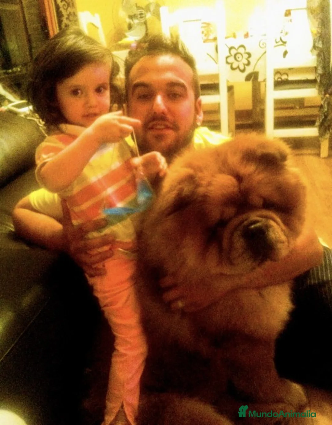 Imagen de galería {{count}}