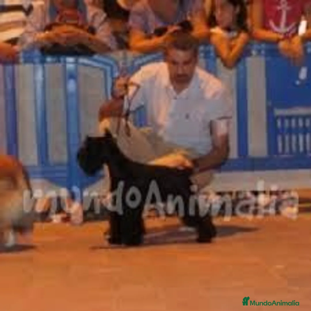 Imagen de galería {{count}}