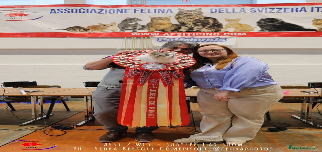 Imagen de galería {{count}}