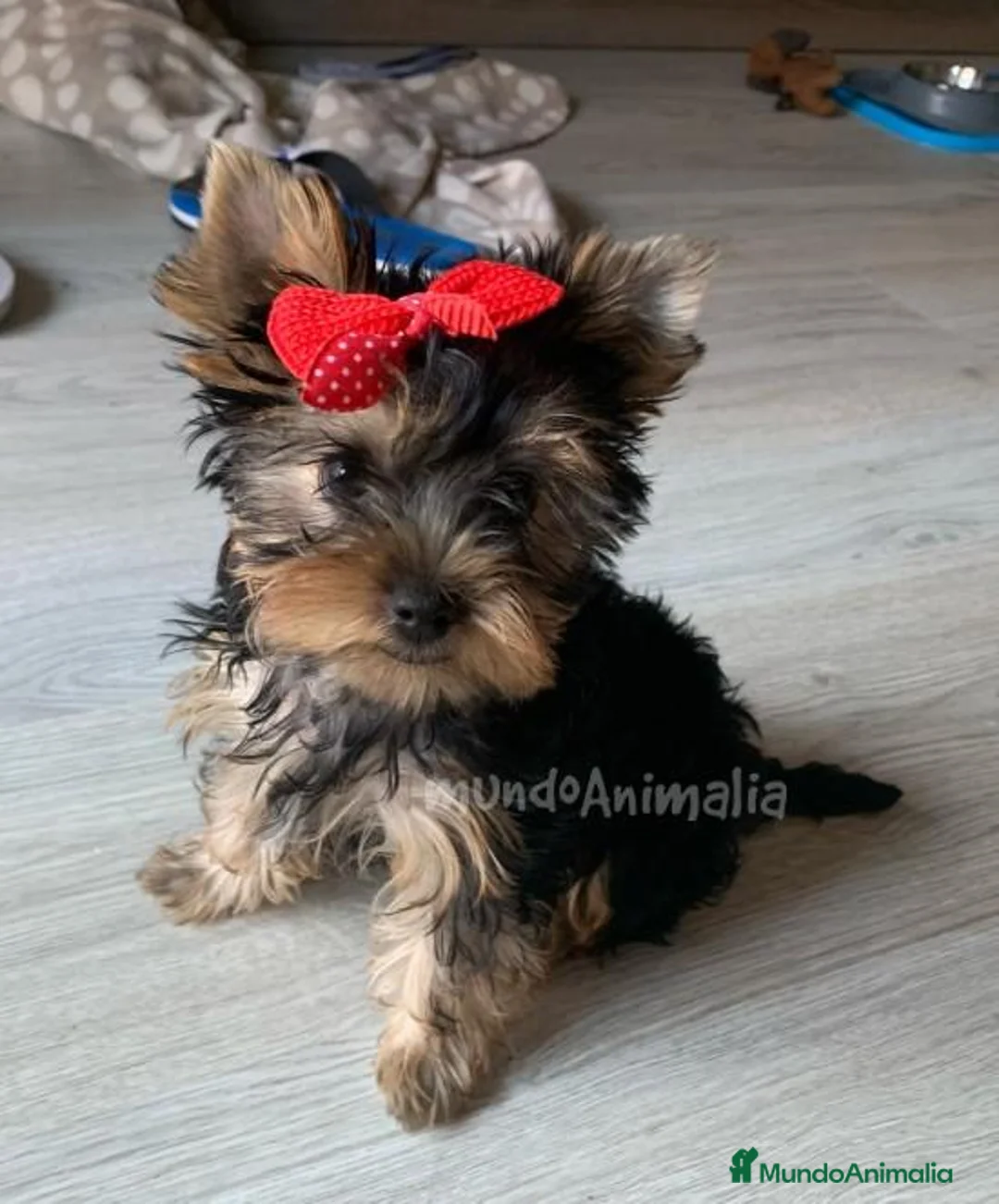 Imagen de galería {{count}}