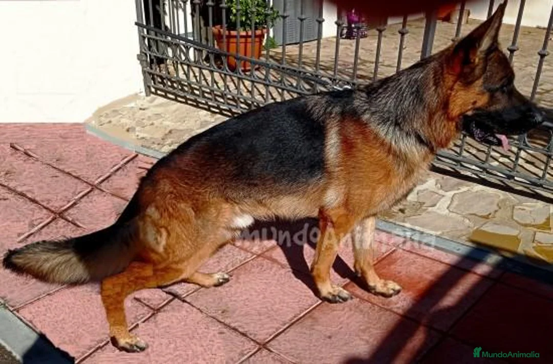 Imagen de galería {{count}}