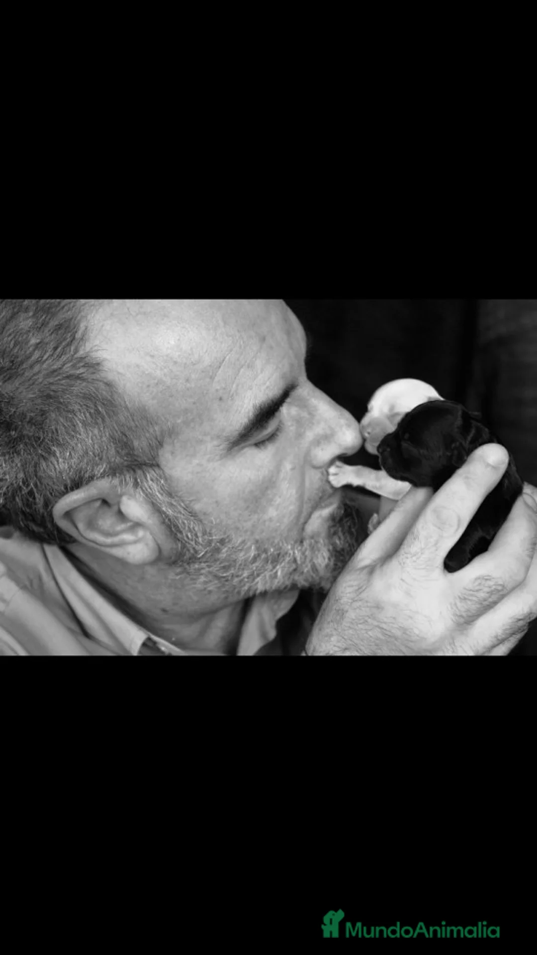 Imagen de galería {{count}}