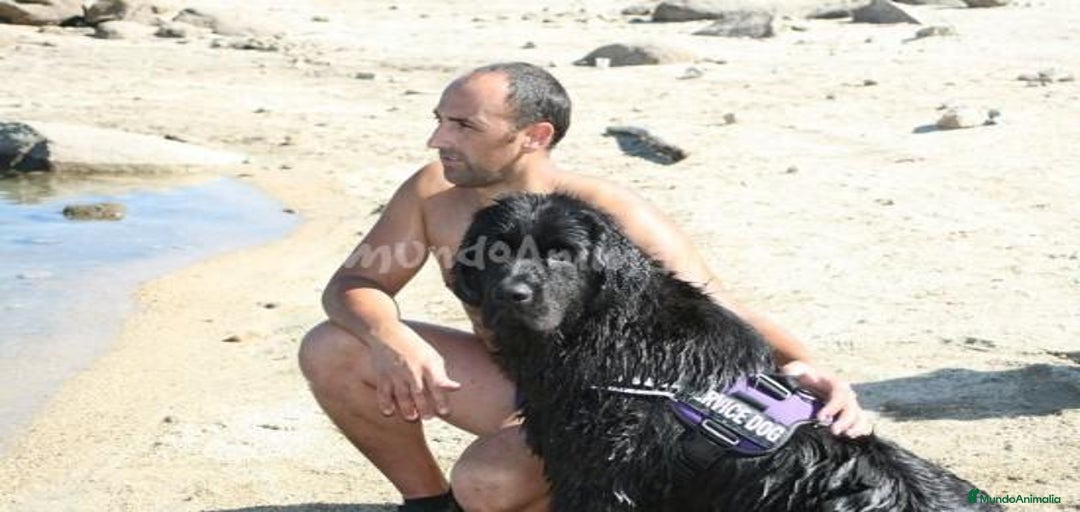 Imagen de galería {{count}}