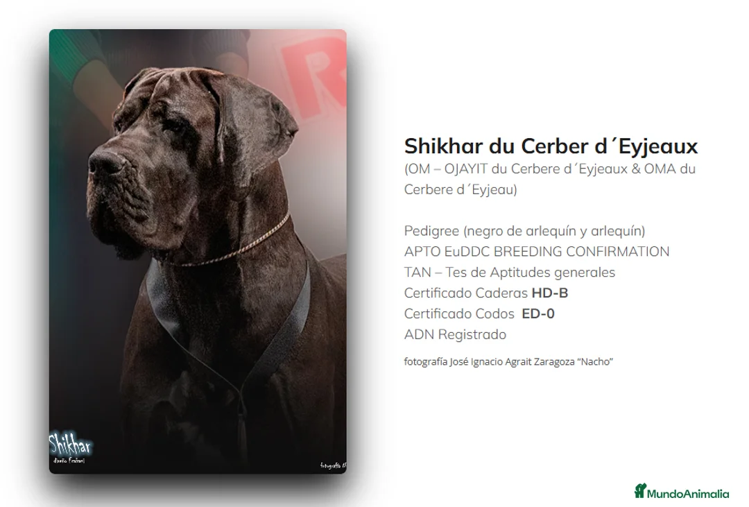 Imagen de galería {{count}}