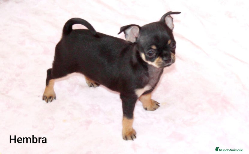 Imagen de galería {{count}}