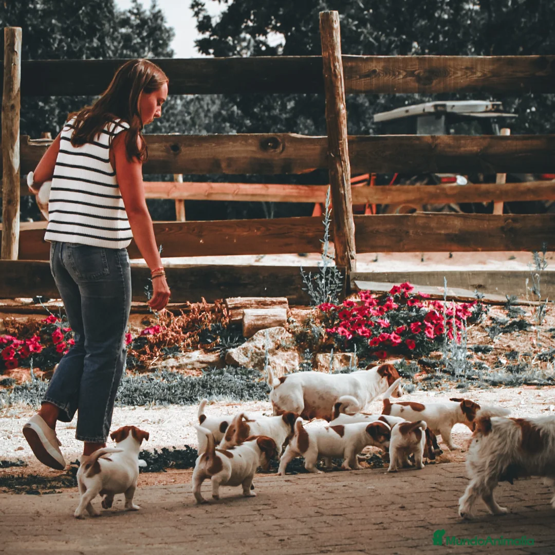 Imagen de galería {{count}}