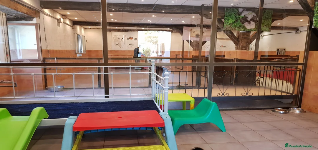 Imagen de galería {{count}}