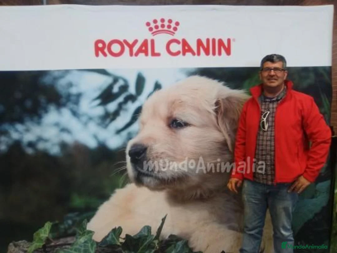 Imagen de galería {{count}}