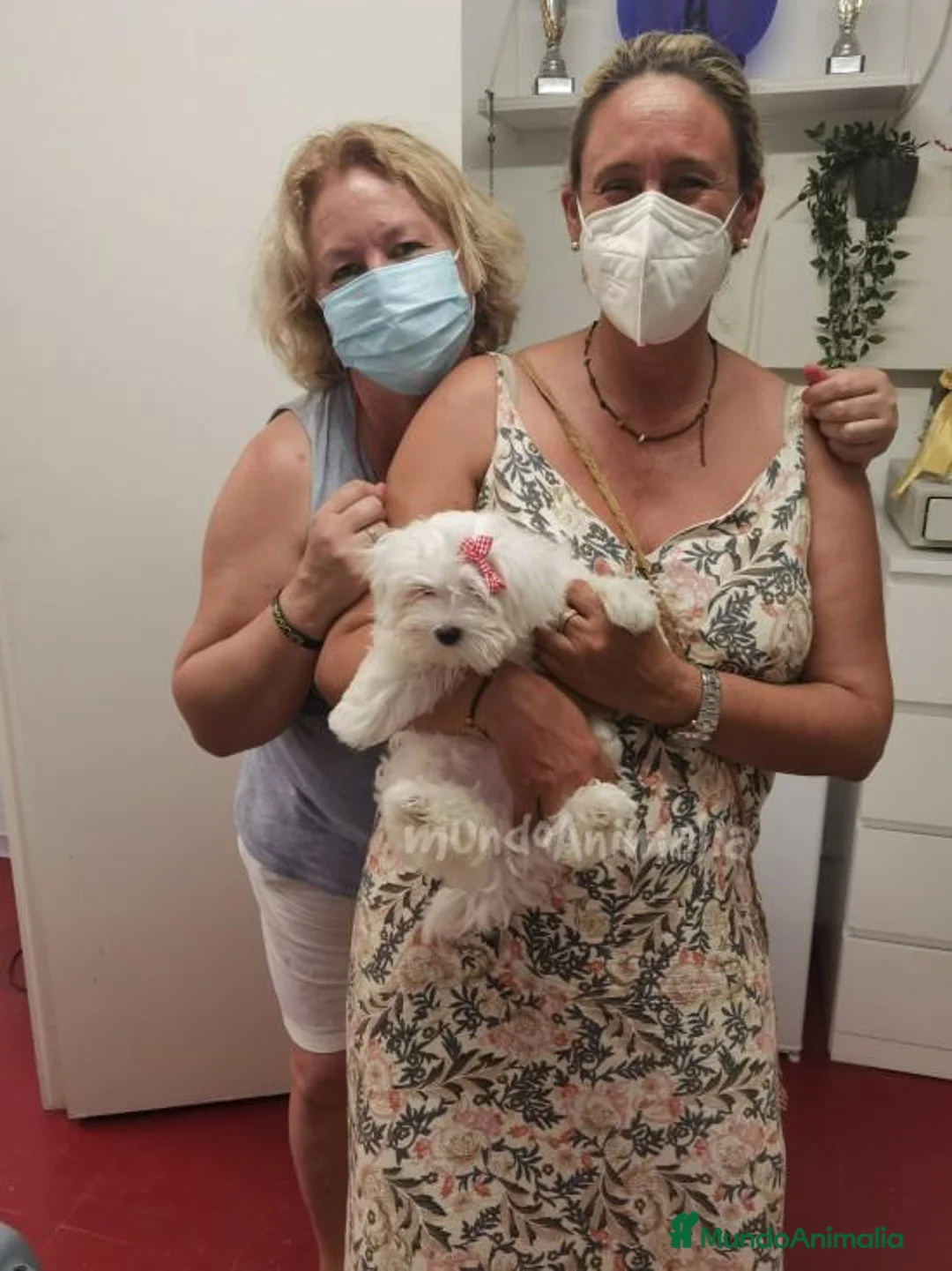 Imagen de galería {{count}}