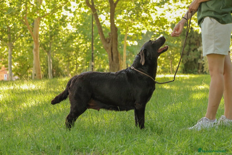 Imagen de galería {{count}}