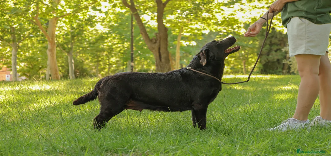 Imagen de galería {{count}}