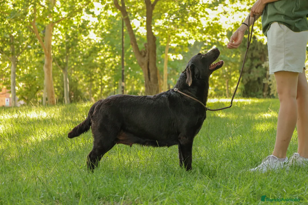 Imagen de galería {{count}}