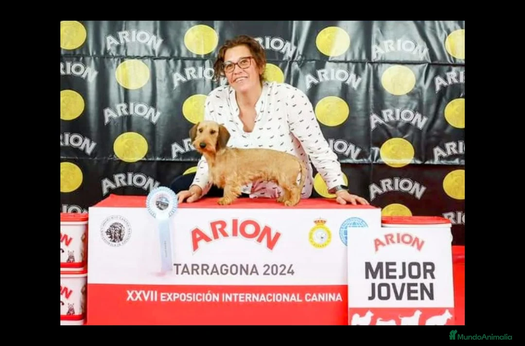 Imagen de galería {{count}}