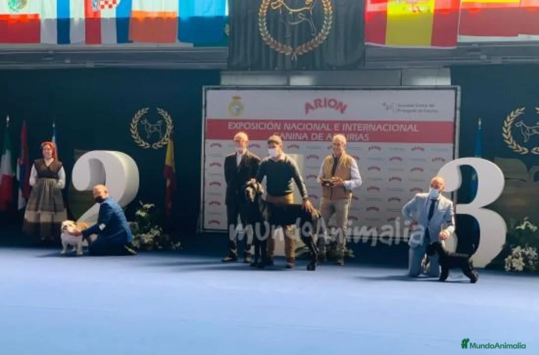 Imagen de galería {{count}}