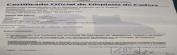 Pastor Alemán perros en venta: CACHORROS PASTOR ALEMÁN  - Anuncio 18