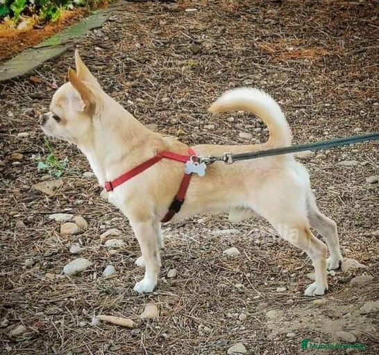 Imagen de galería {{count}}