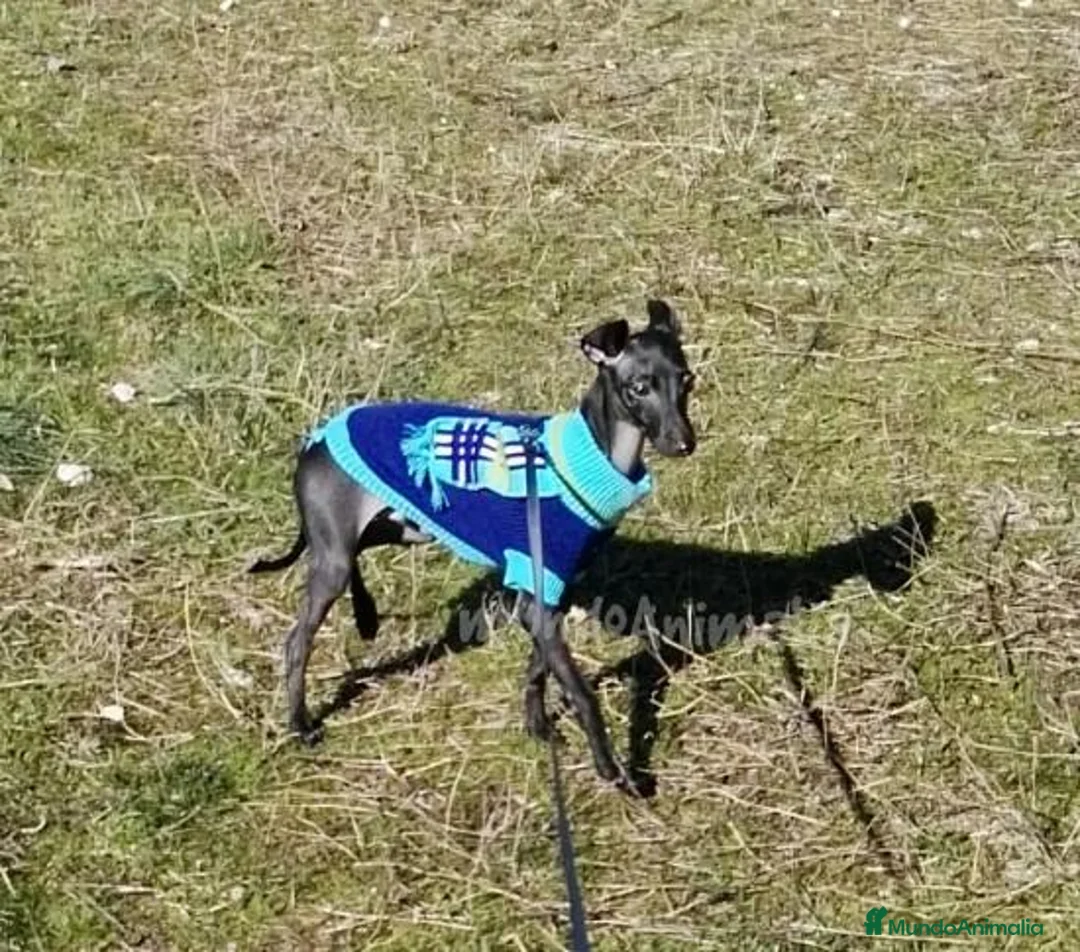 Imagen de galería {{count}}