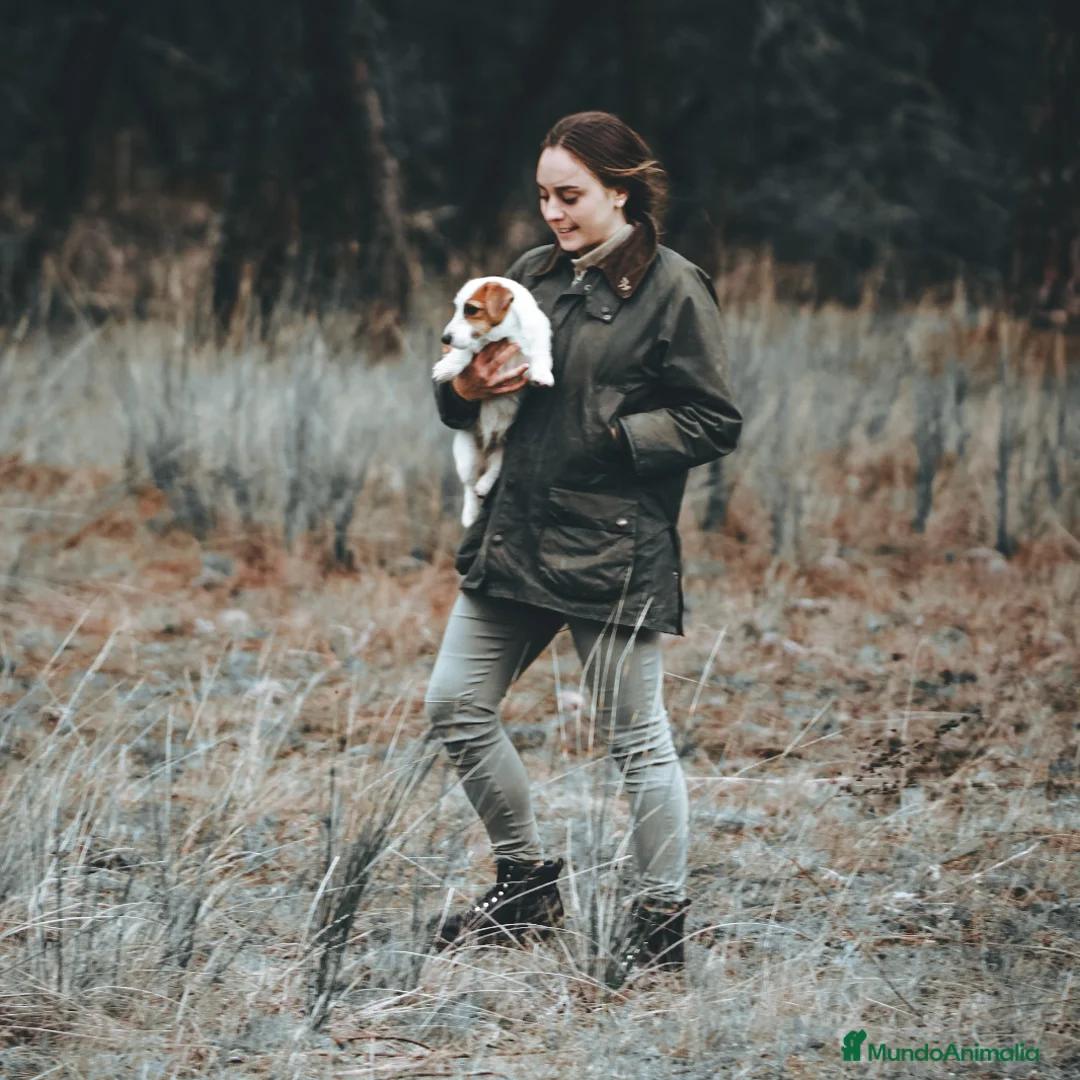 Imagen de galería {{count}}