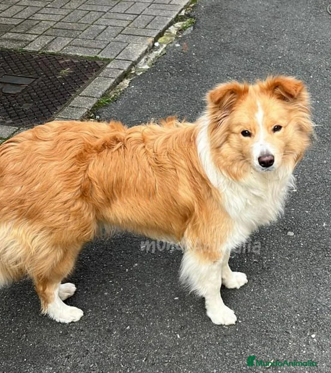 Imagen de galería {{count}}