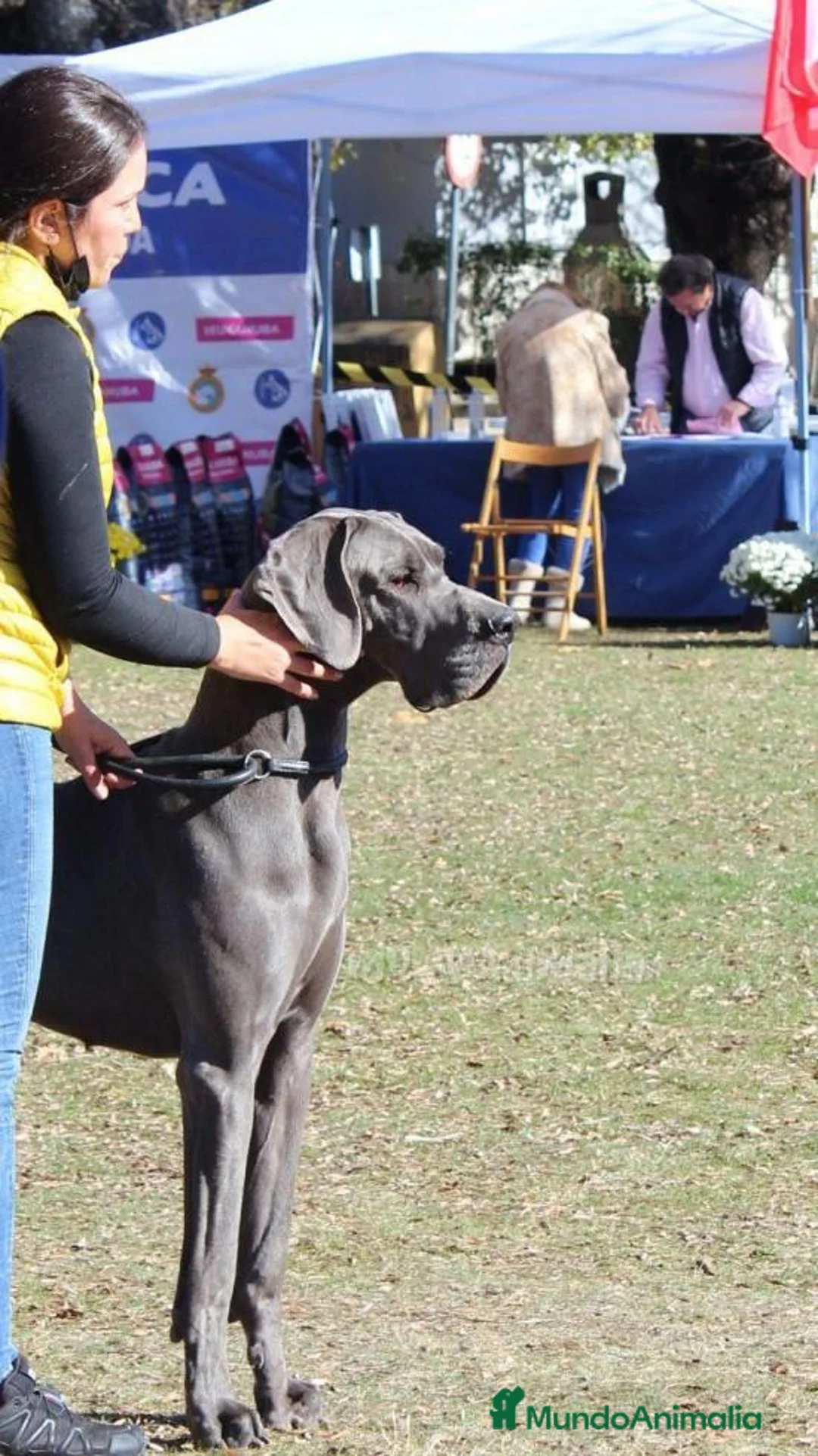 Imagen de galería {{count}}