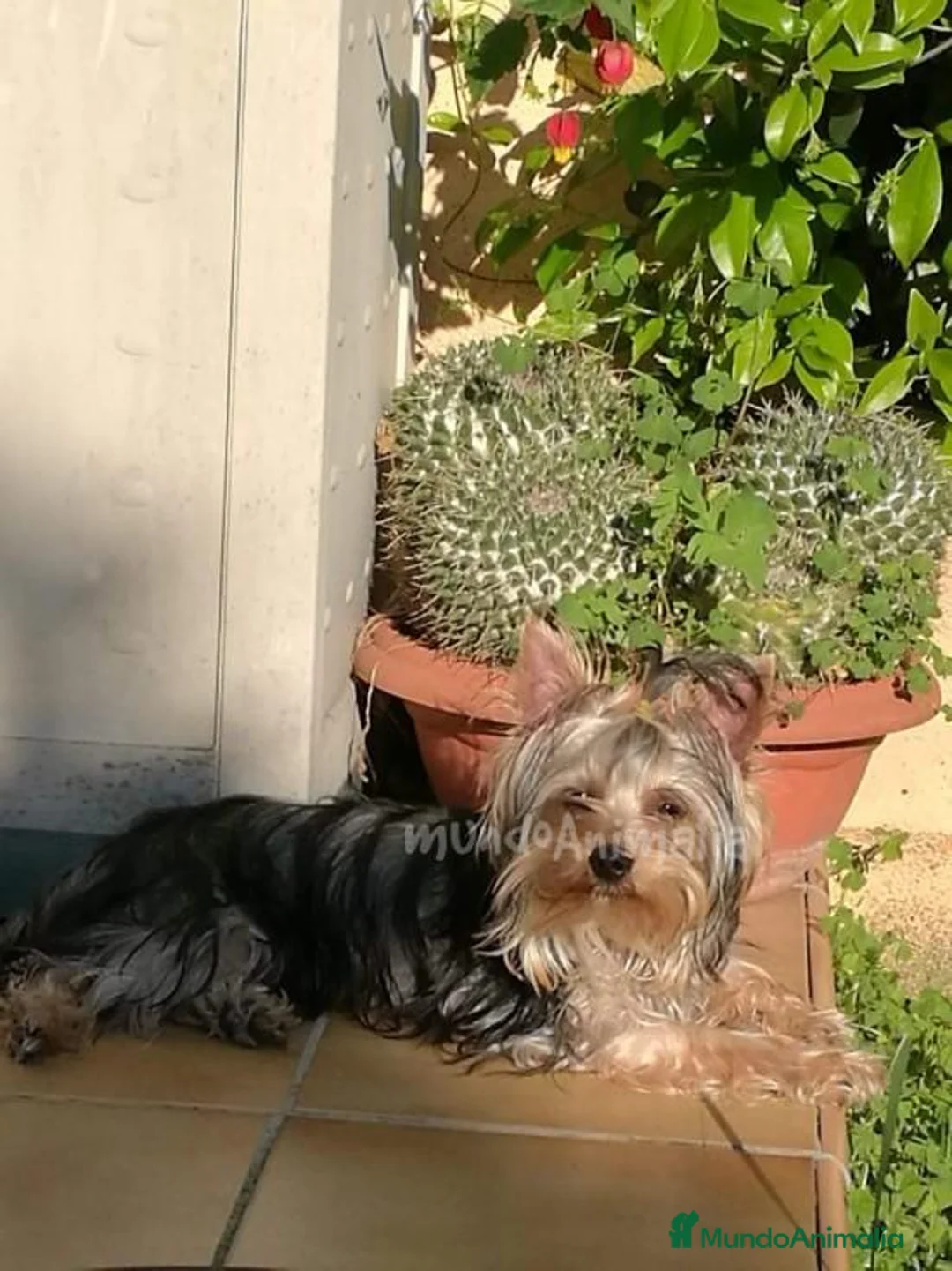 Imagen de galería {{count}}