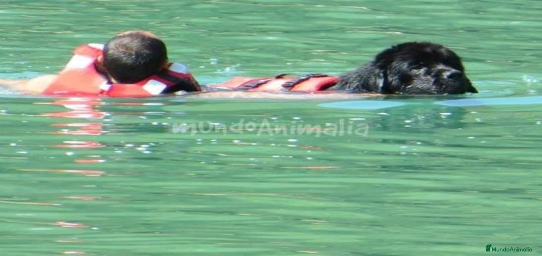 Imagen de galería {{count}}