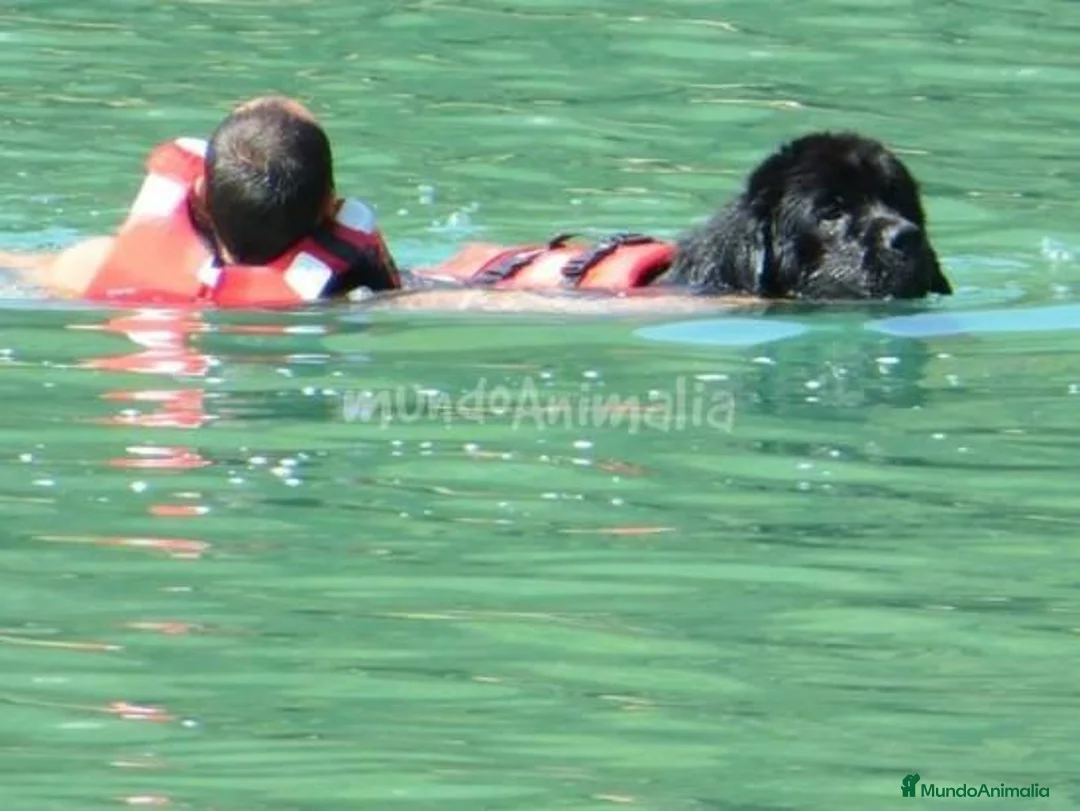 Imagen de galería {{count}}