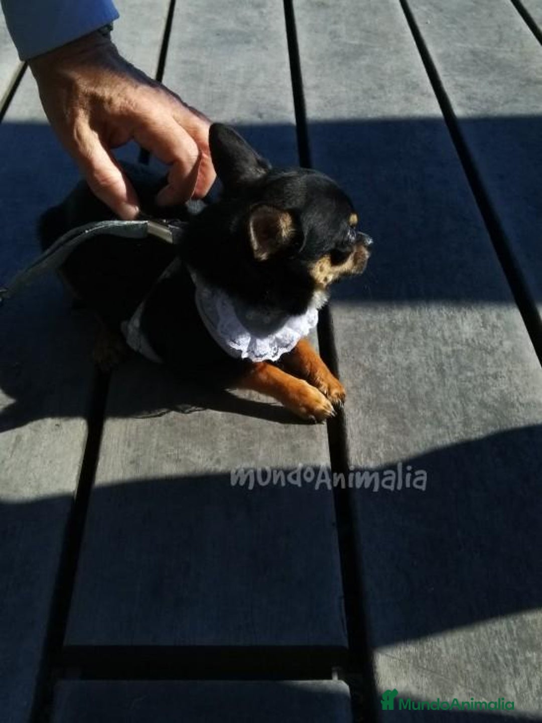 Imagen de galería {{count}}