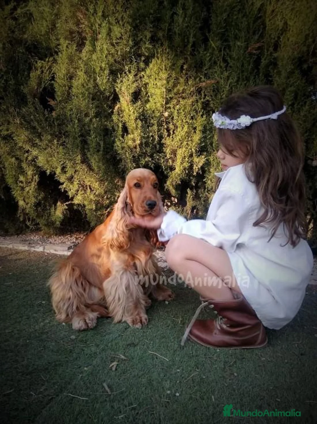 Imagen de galería {{count}}