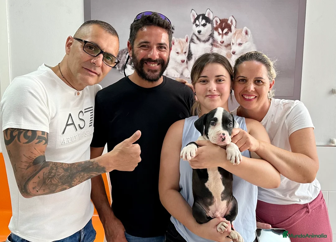 Imagen de galería {{count}}