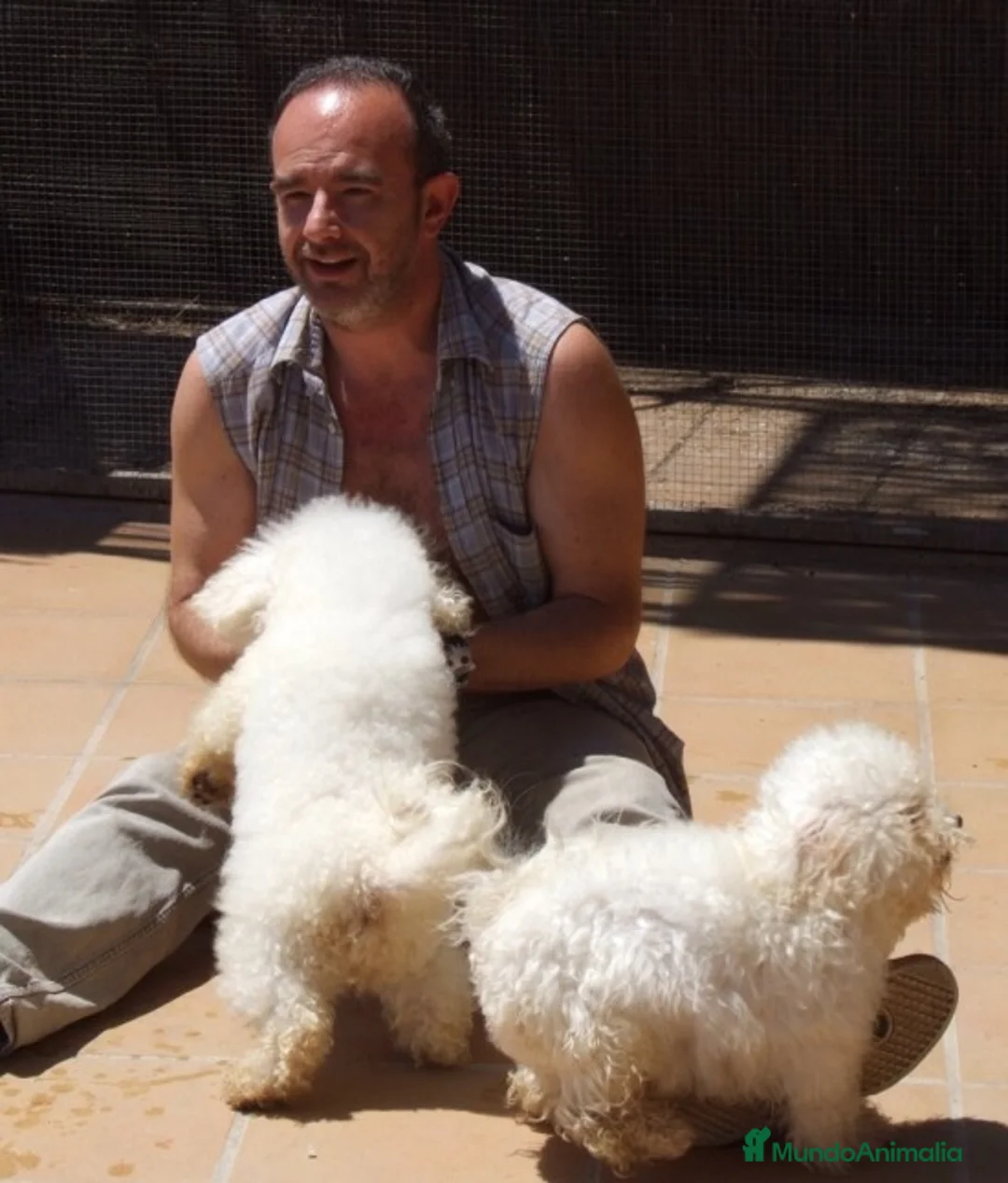 Imagen de galería {{count}}