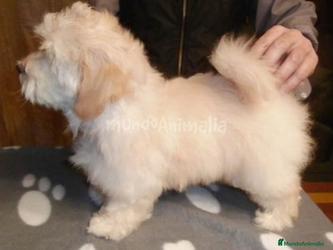 Imagen de galería {{count}}