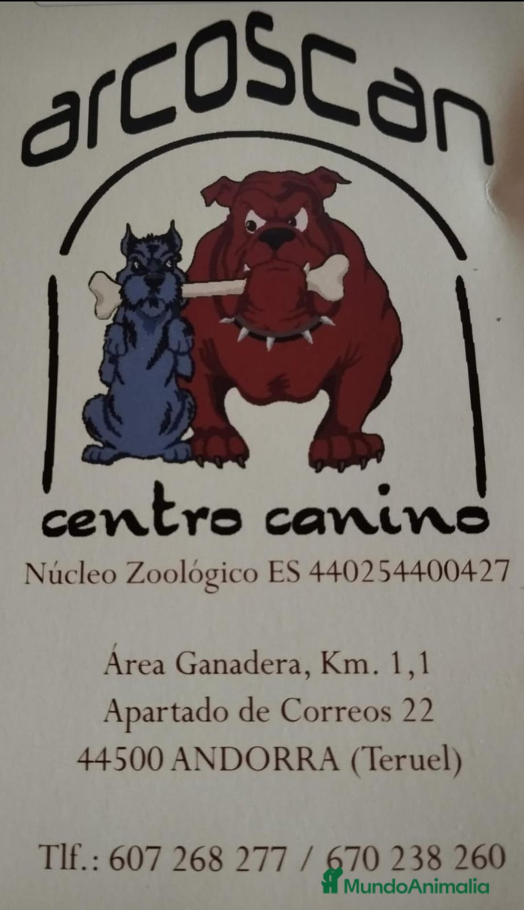 Pomchi perros en venta: Cachorros de pomchi - Imagen 3