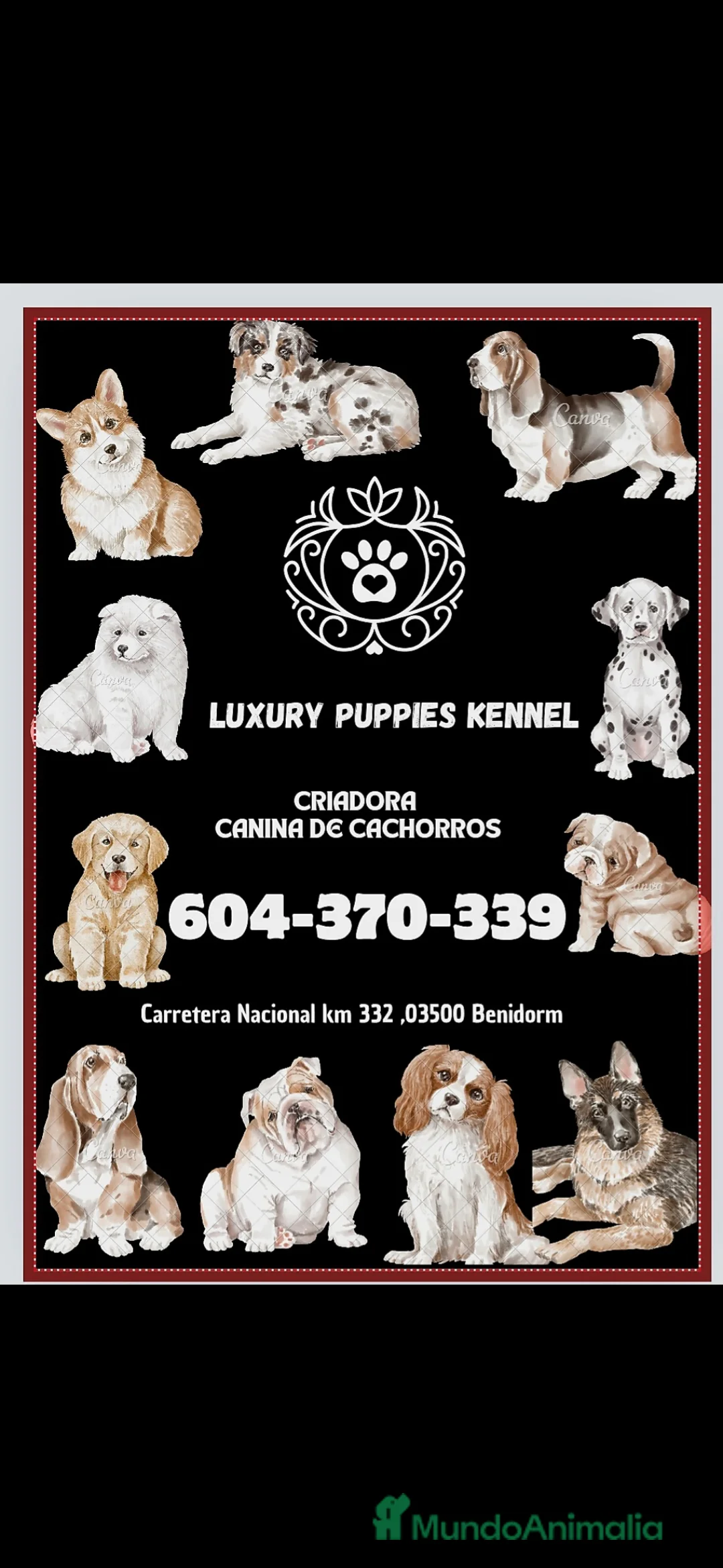 Imagen de galería {{count}}