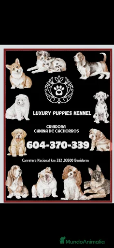 Imagen de galería {{count}}