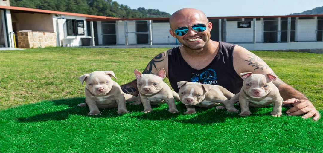 Imagen de galería {{count}}